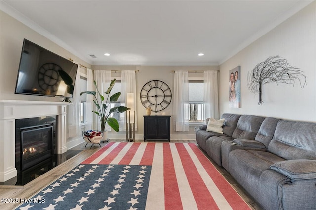 living room featuring dark wood-type flooring and crown molding