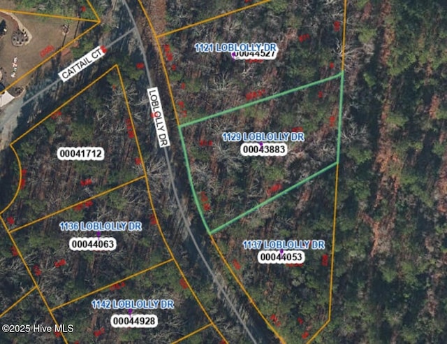 1129 Loblolly Dr, Vass NC, 28394 land for sale