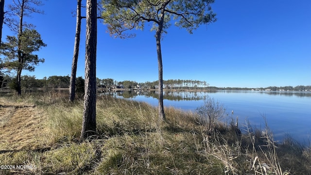 495 Ballast Pt Unit 84, Oriental NC, 28571 land for sale