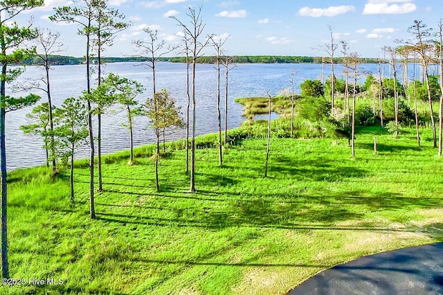 495 Ballast Pt Unit 84, Oriental, NC 28571