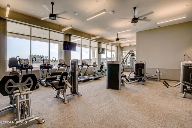 exercise room featuring carpet and ceiling fan