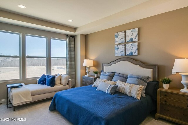 carpeted bedroom with multiple windows