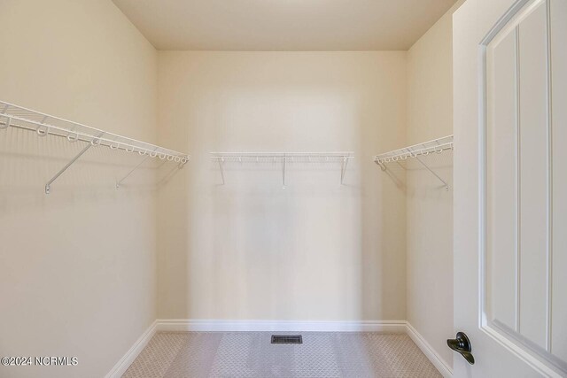 spacious closet featuring carpet