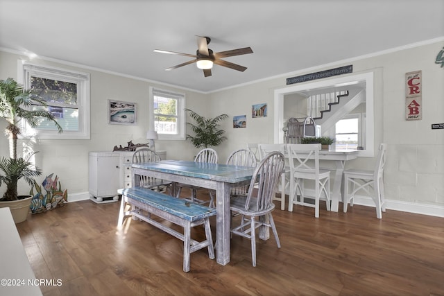 dining room featuring dark wood-type flooring, ceiling fan, plenty of natural light, and crown molding