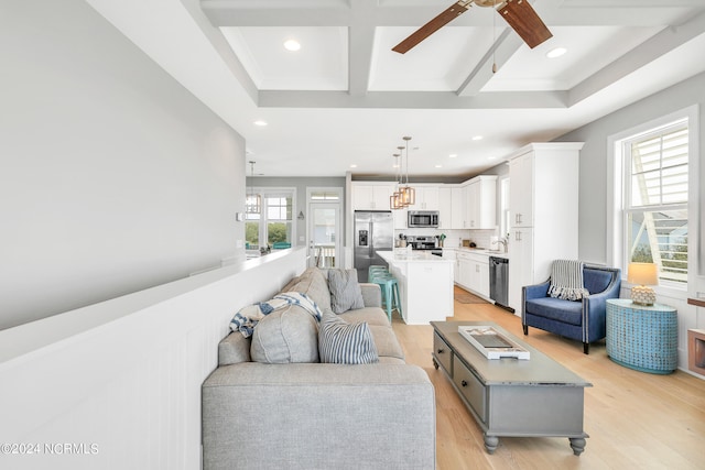 living room featuring light hardwood / wood-style flooring, plenty of natural light, and sink