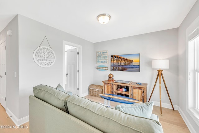 living room featuring a healthy amount of sunlight and light hardwood / wood-style flooring