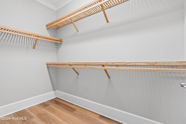 walk in closet featuring hardwood / wood-style floors