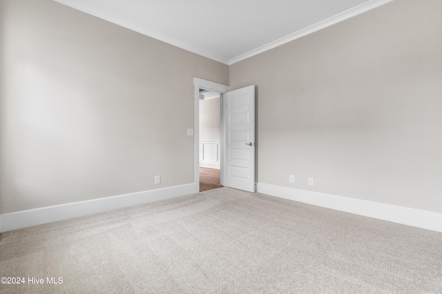 carpeted spare room featuring crown molding