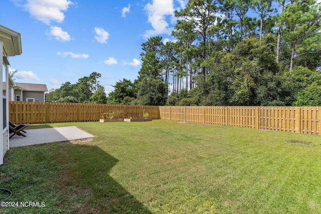 view of yard with a patio area