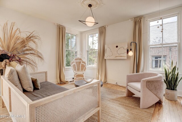 living area featuring light hardwood / wood-style flooring