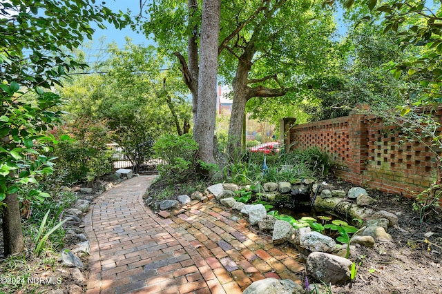 view of yard with a patio area