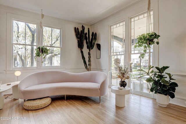 sitting room featuring crown molding and light hardwood / wood-style flooring