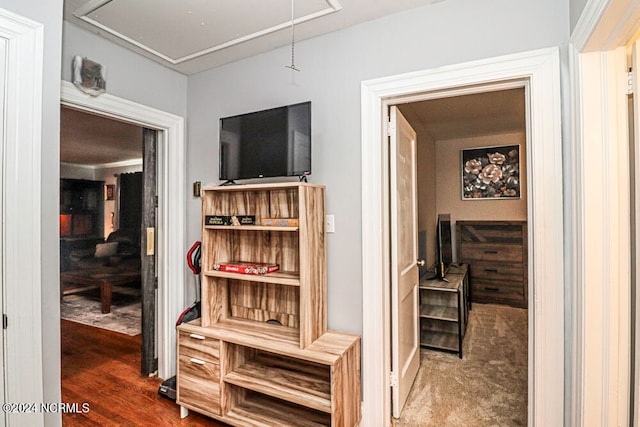 hallway featuring wood-type flooring