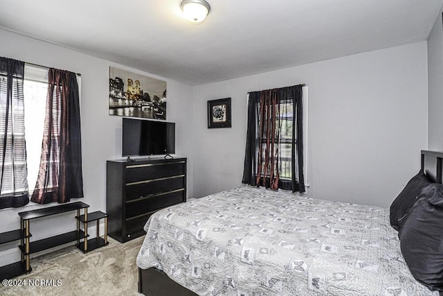 bedroom with carpet flooring