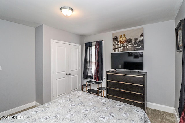 bedroom featuring carpet flooring and a closet