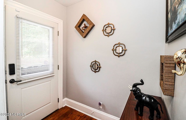 entryway featuring dark hardwood / wood-style flooring