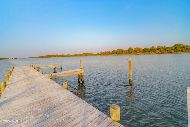 dock area with a water view