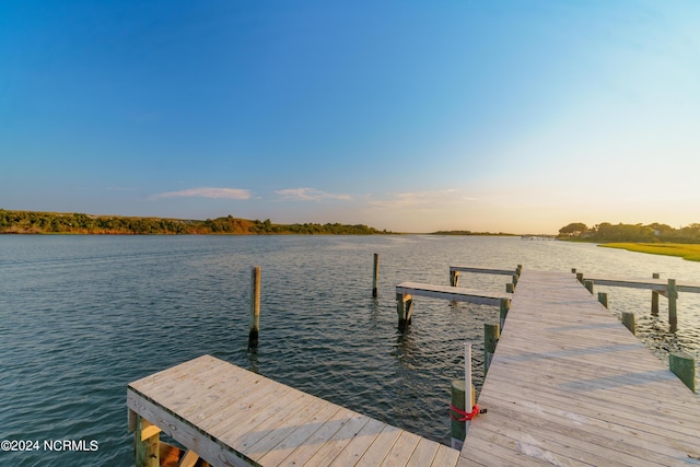 dock area with a water view