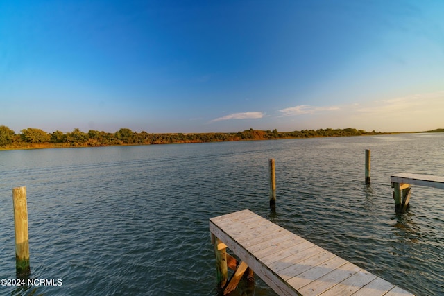 dock area with a water view