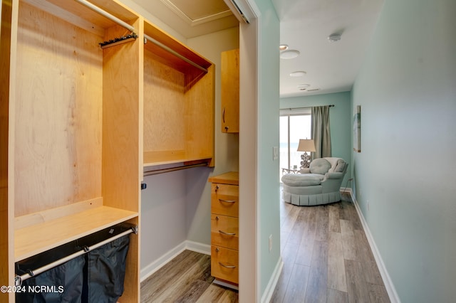 walk in closet featuring light wood-type flooring