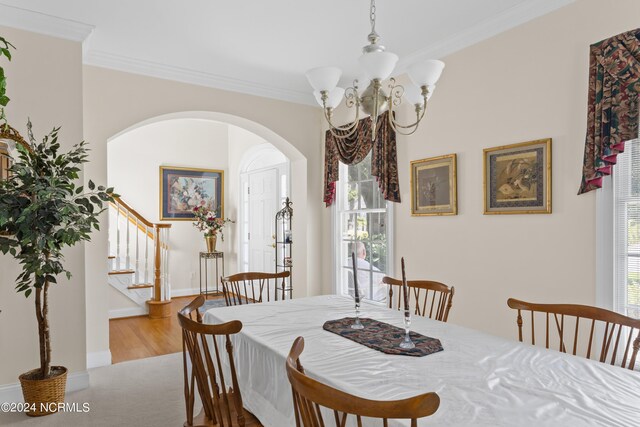 dining room with crown molding, a wealth of natural light, wood-type flooring, and a notable chandelier