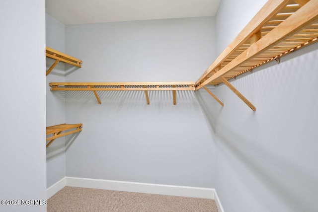 spacious closet with carpet flooring