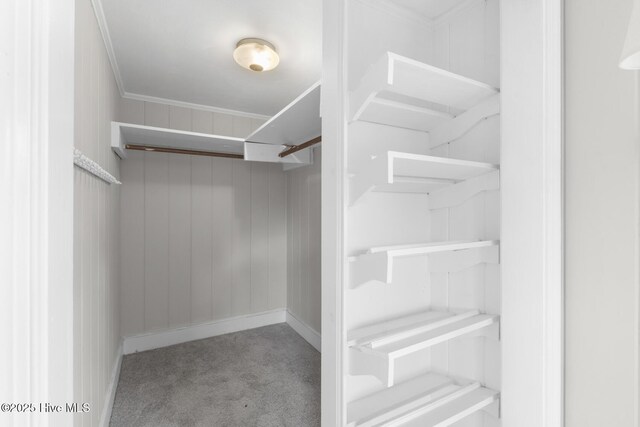 walk in closet with carpet floors