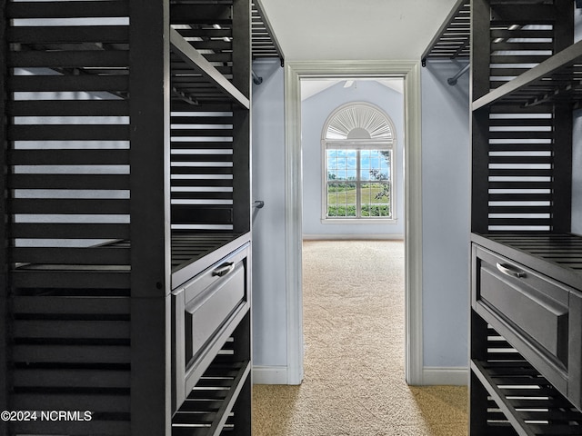 spacious closet with lofted ceiling and carpet