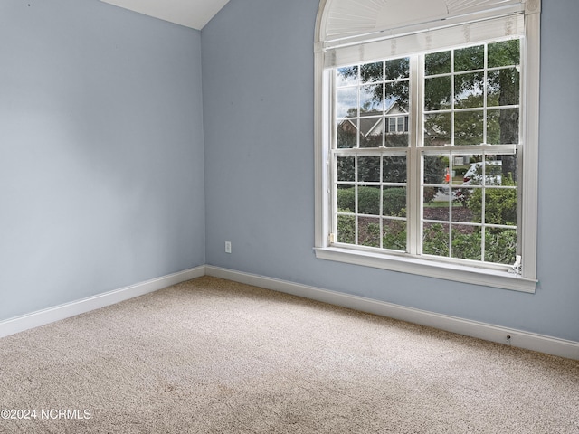 unfurnished room with a wealth of natural light and carpet floors