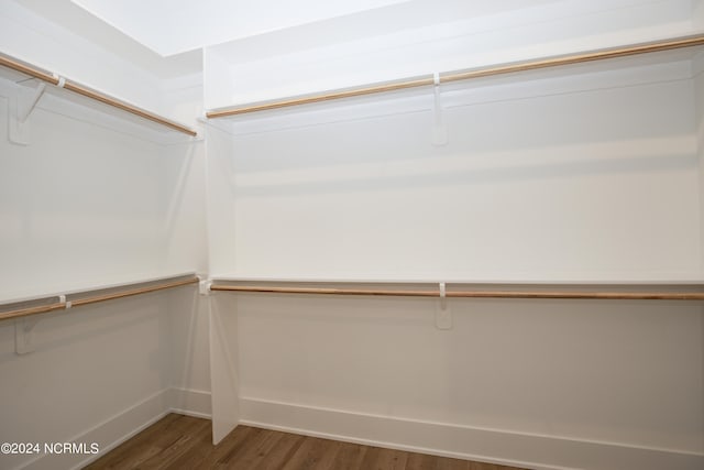 walk in closet with hardwood / wood-style flooring