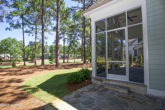 view of yard featuring a sunroom and a patio area