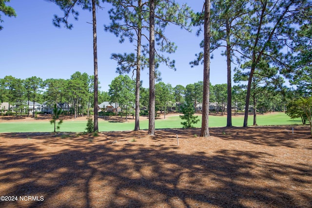 view of property's community featuring a yard and basketball hoop