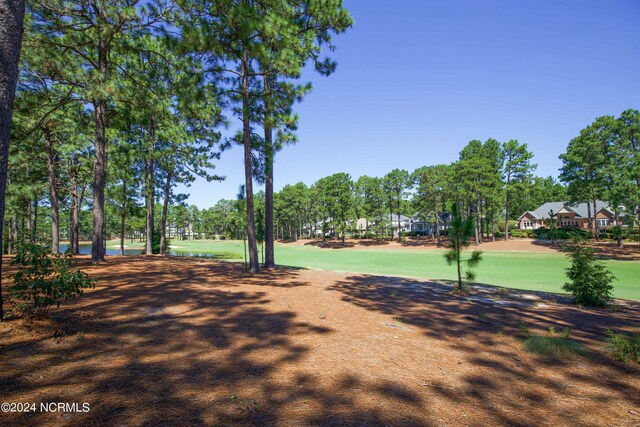 view of community with a yard