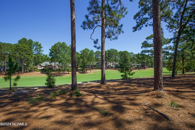 view of property's community featuring a lawn