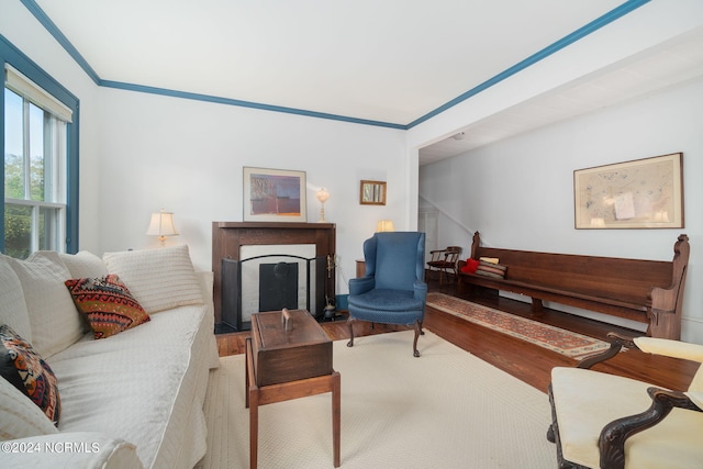 living room featuring wood-type flooring