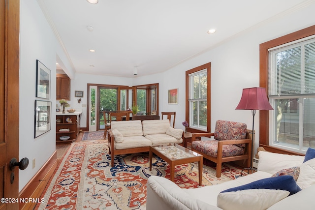 living room featuring light hardwood / wood-style floors and crown molding