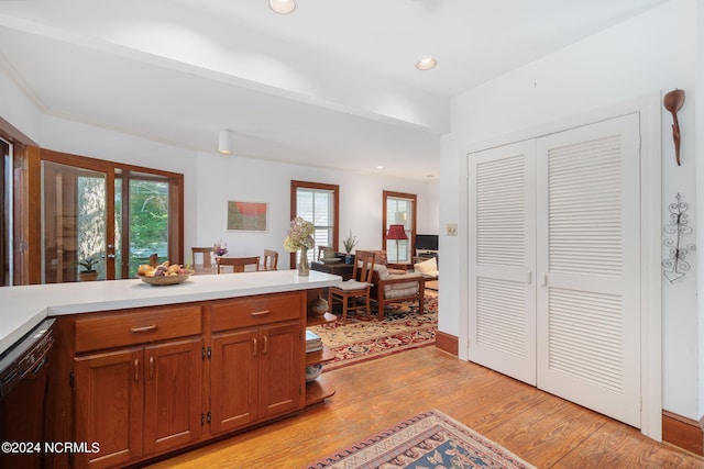 kitchen featuring dishwasher and light wood-type flooring