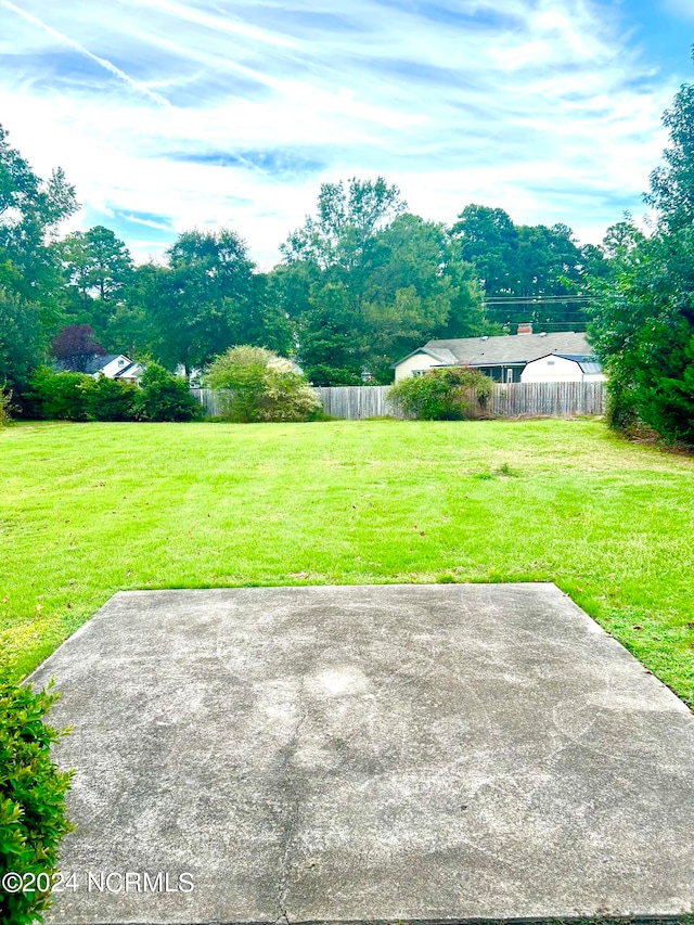 view of yard featuring a patio area