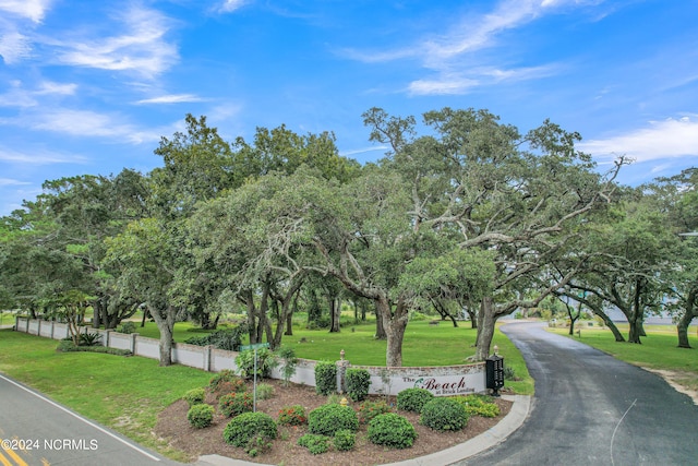 view of community with a lawn