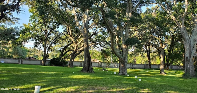 view of home's community with a lawn