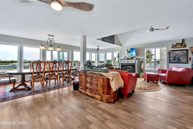 living room with ceiling fan and light hardwood / wood-style floors