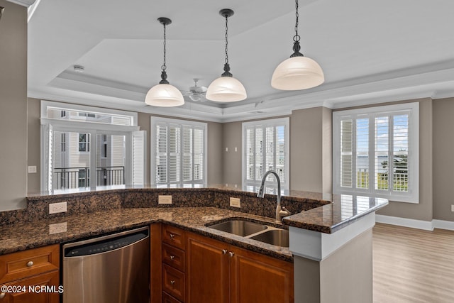 kitchen featuring a tray ceiling, dark stone countertops, plenty of natural light, and stainless steel dishwasher