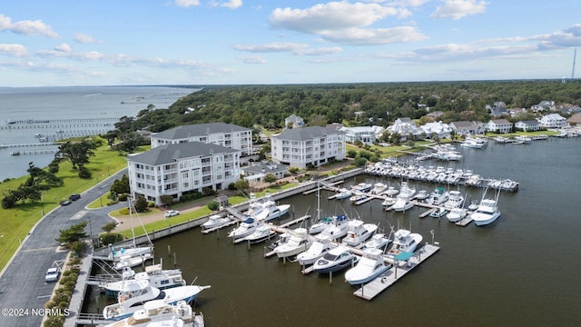 bird's eye view with a water view