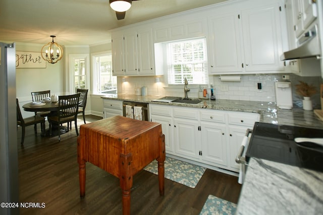 kitchen featuring dark wood-style floors, white cabinets, and crown molding