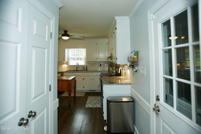 kitchen with crown molding, dark wood finished floors, backsplash, white cabinetry, and a sink