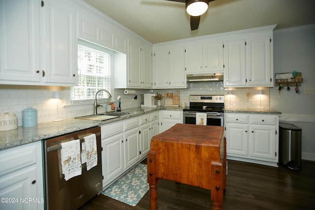 kitchen featuring appliances with stainless steel finishes, a sink, white cabinets, and under cabinet range hood