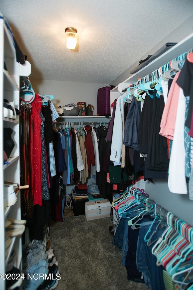 walk in closet with carpet