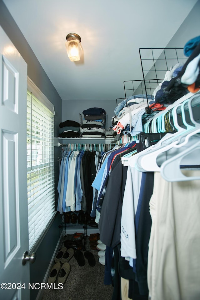 view of spacious closet