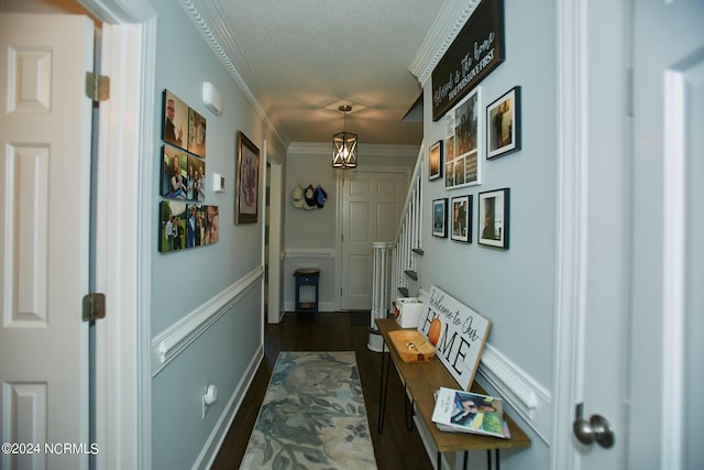 hallway featuring a decorative wall, ornamental molding, wainscoting, a textured ceiling, and stairs