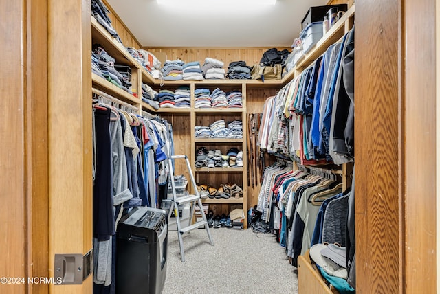 walk in closet with carpet flooring